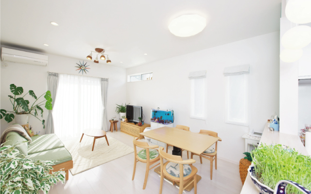 青空が似合うナチュラルな家の画像