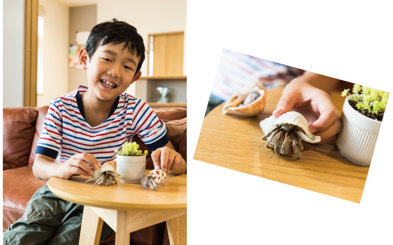 2階リビングの明るい家 の画像13