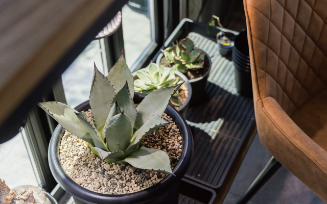 グリーンに囲まれた癒しの店舗 の画像9